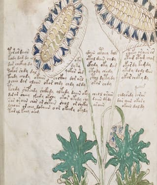 Afbeelding van een oud manuscript