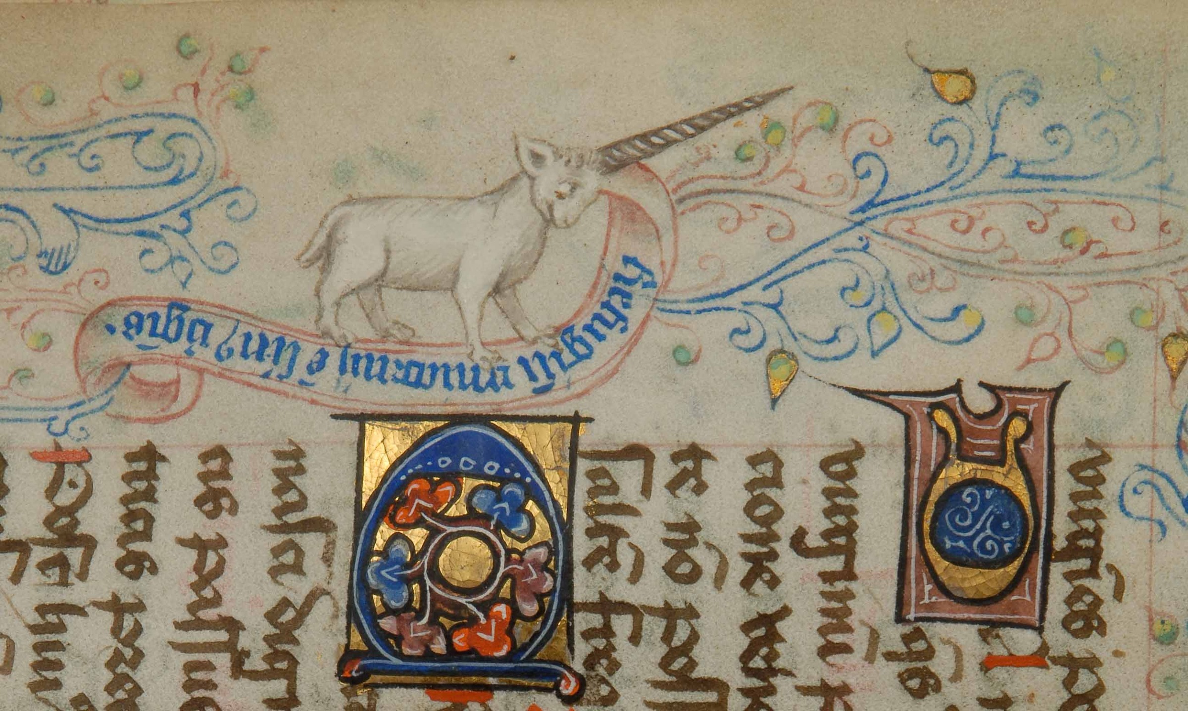 Hidden knowledge exhibition